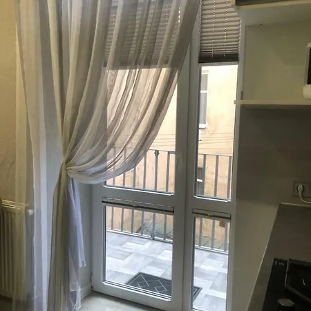 Apartment Viktoriya Deluxe Lviv